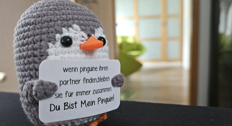 dailyseven - Webdesign Agentur Berlin Inside